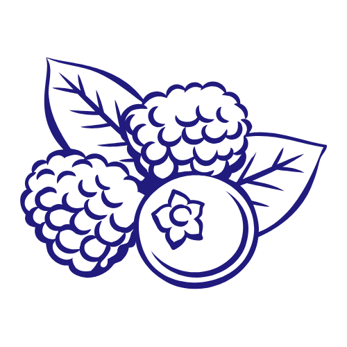 Frutos del Bosque
